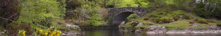 The Gullet and the Old Bridge